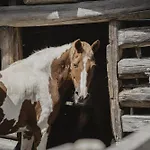 Kornkammer Feriehus Söll