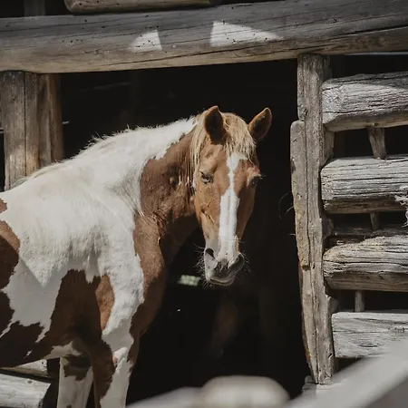 Kornkammer Ferienhaus Söll
