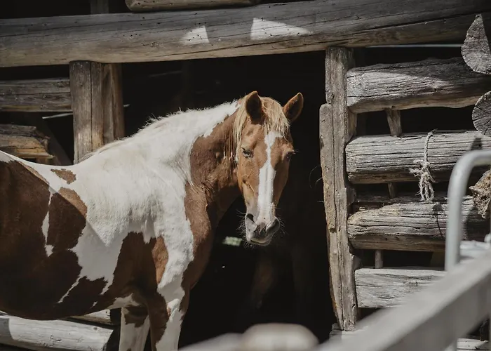 Kornkammer Hébergement de vacances Söll